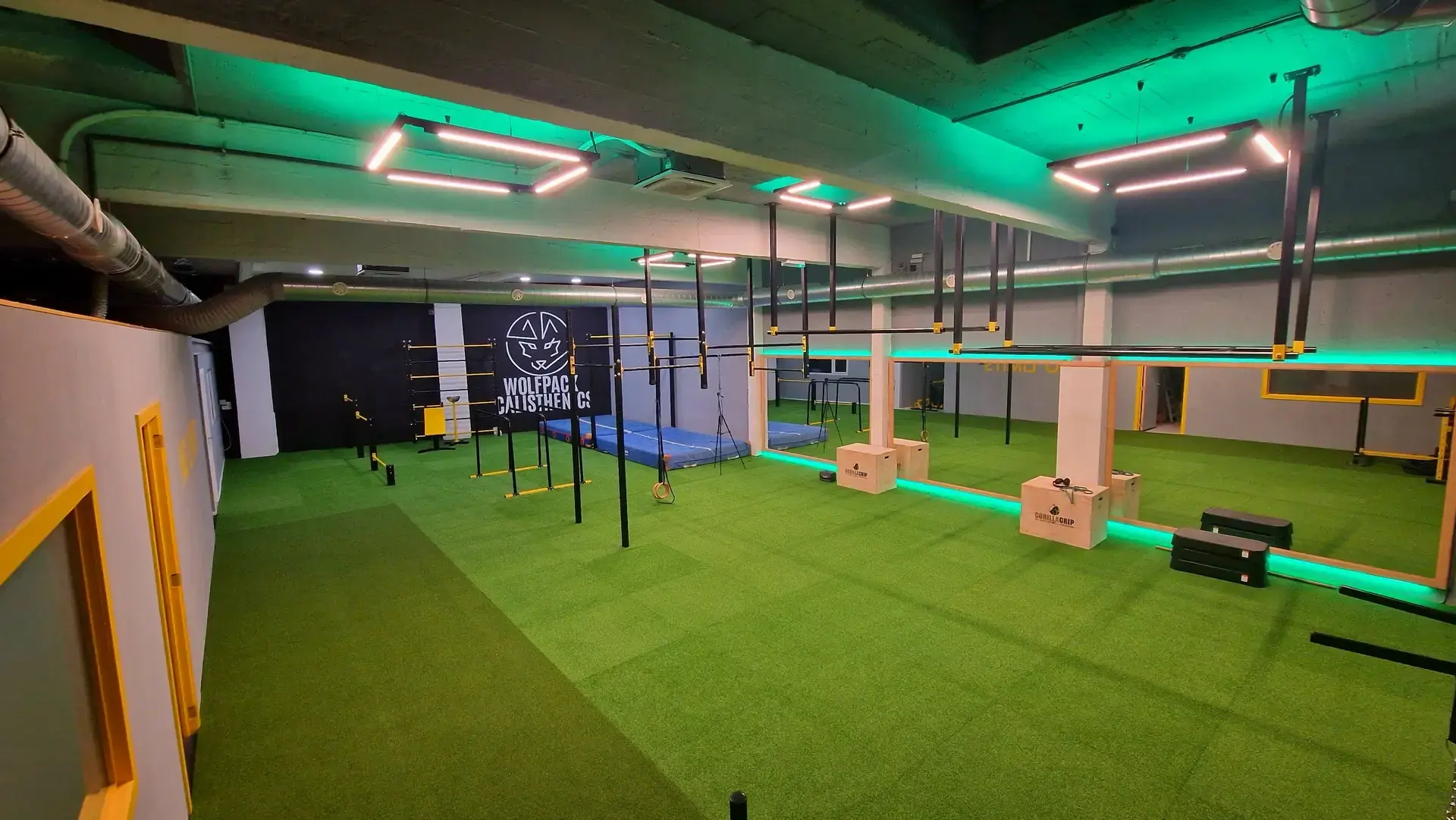 The Wolfpack calisthenics floor in Antwerp-Berchem, with rigs, rings, mats and green turf